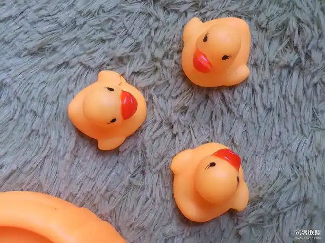 Coin purse